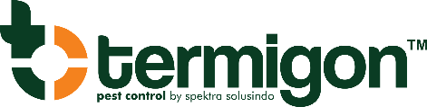 Termigon
